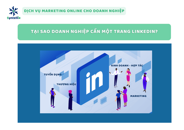 Tại Sao Doanh Nghiệp Cần Một Trang LinkedIn?