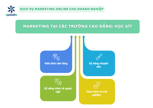 Marketing tại các trường Cao đẳng_ Học gì