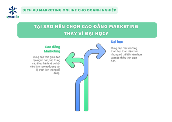 Tại sao nên chọn Cao đẳng Marketing thay vì Đại học