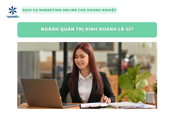 Ngành Quản Trị Kinh Doanh Là Gì?