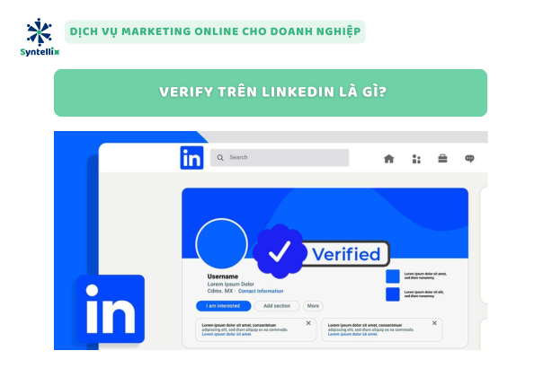Verify trên LinkedIn là gì?