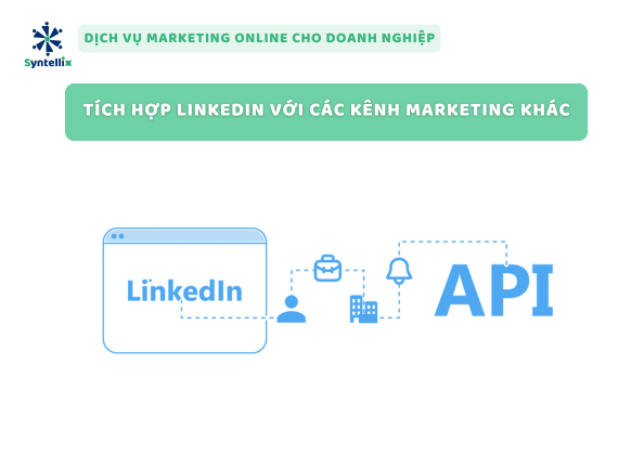 Tích Hợp LinkedIn Với Các Kênh Marketing Khác