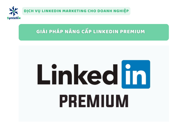 Giải pháp nâng cấp LinkedIn Premium từ Syntellix