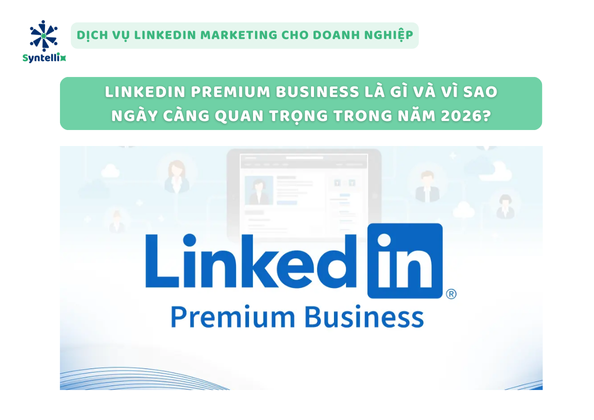 LinkedIn Premium Business là gì?