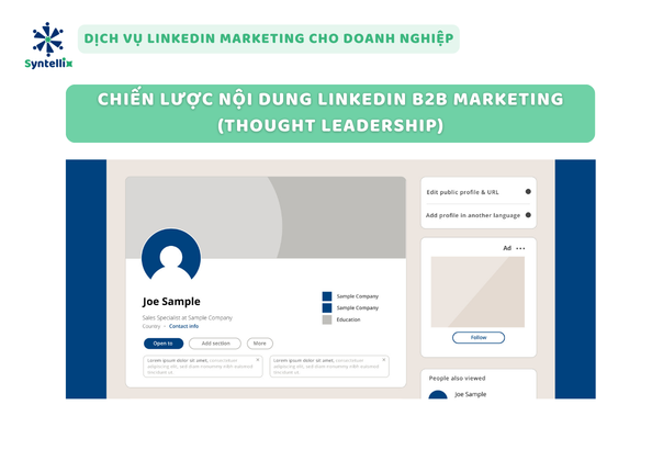 Chiến lược nội dung LinkedIn B2B Marketing (Thought Leadership)
