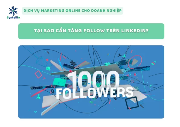 Tại Sao Cần Tăng Follow Trên LinkedIn?