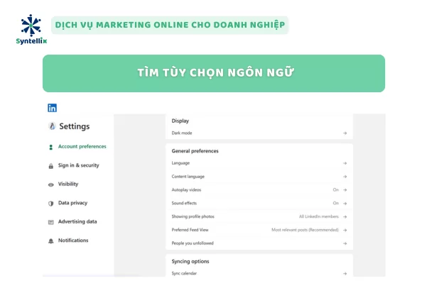 Tìm Tùy Chọn Ngôn Ngữ