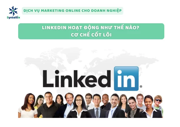 LinkedIn Hoạt Động Như Thế Nào -  Cơ Chế Cốt Lõi