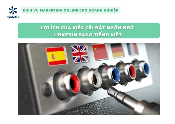 Lợi Ích Của Việc Cài Đặt Ngôn Ngữ LinkedIn Sang Tiếng Việt