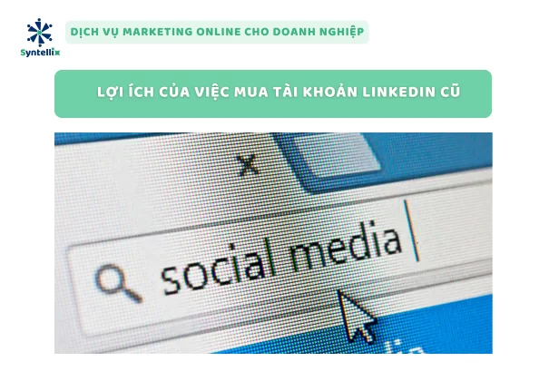 Lợi Ích Của Việc Mua Tài Khoản LinkedIn Cũ