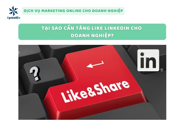 Tại Sao Cần Tăng Like LinkedIn Cho Doanh Nghiệp?