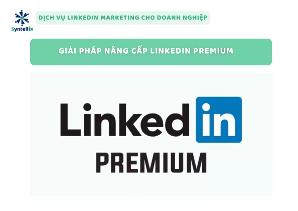 Giải pháp nâng cấp LinkedIn Premium từ Syntellix