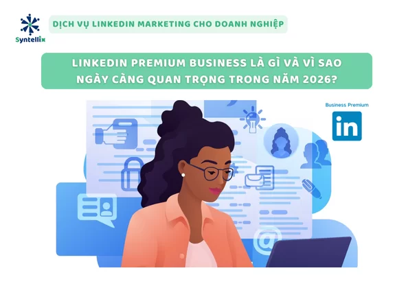 Phân tích gói LinkedIn Premium Business