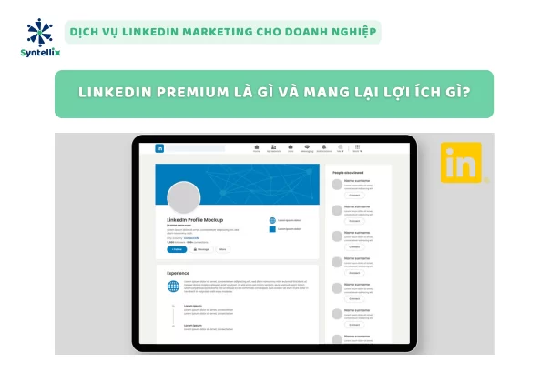 LinkedIn Premium là gì và mang lại lợi ích gì?