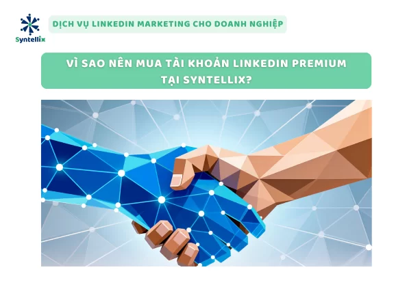 Vì sao nên mua tài khoản LinkedIn Premium tại Syntellix?