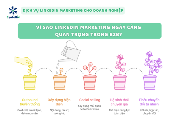 Vì sao LinkedIn Marketing ngày càng quan trọng trong B2B?
