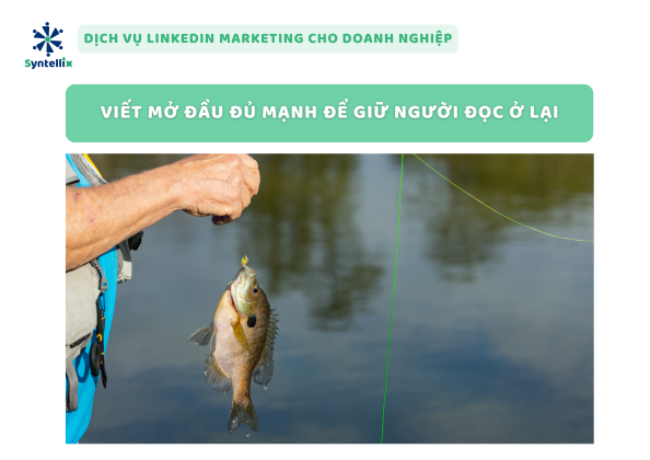 Viết mở đầu đủ mạnh để giữ người đọc ở lại