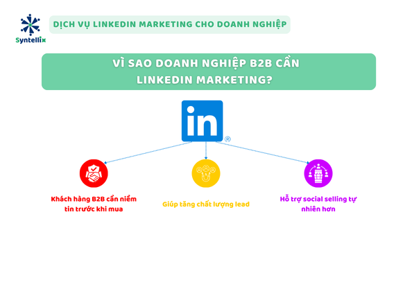 Vì sao doanh nghiệp B2B cần LinkedIn Marketing?