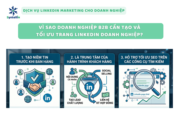 Vì sao doanh nghiệp B2B cần tạo và tối ưu trang LinkedIn doanh nghiệp?