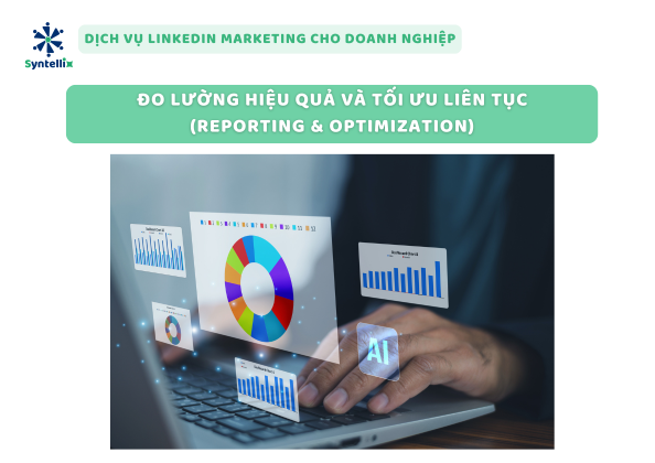 Đo Lường Hiệu Quả Và Tối Ưu Liên Tục (Reporting & Optimization)