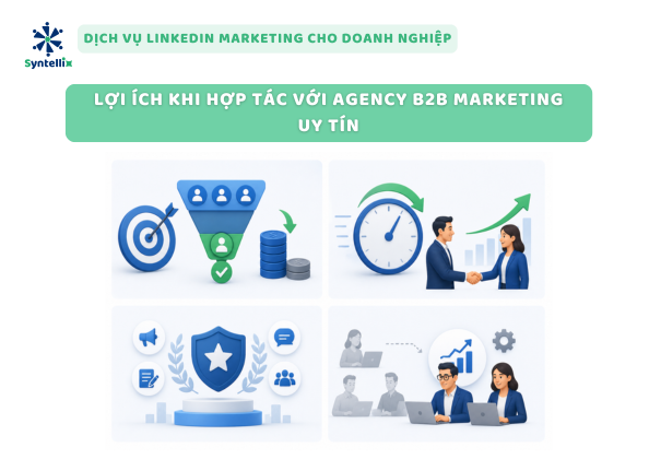 Lợi Ích Khi Hợp Tác Với Agency B2B Marketing Uy Tín