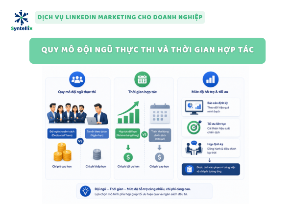 Quy Mô Đội Ngũ Thực Thi Và Thời Gian Hợp Tác