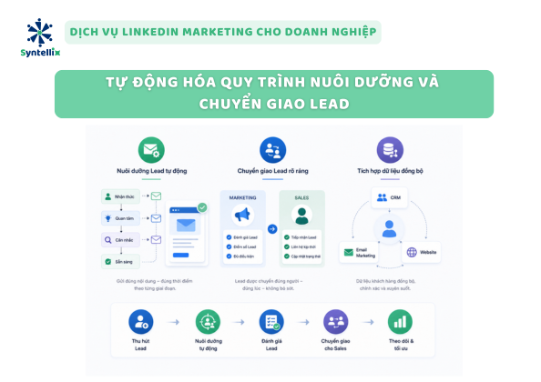 Tự Động Hóa Quy Trình Nuôi Dưỡng Và Chuyển Giao Lead