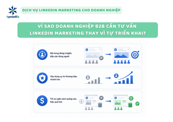 Vì Sao Doanh Nghiệp B2B Cần Tư Vấn LinkedIn Marketing Thay Vì Tự Triển Khai?