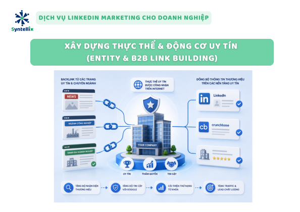 Xây dựng thực thể & Động cơ uy tín (Entity & B2B Link Building)