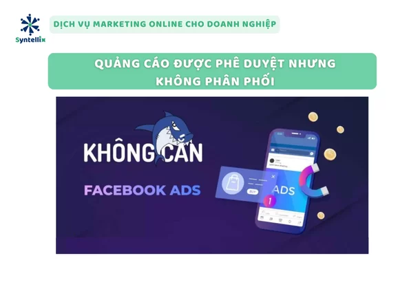 Quảng Cáo Được Phê Duyệt Nhưng Không Phân Phối