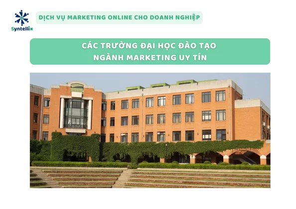 Các Trường Đại Học Đào Tạo Ngành Marketing Uy Tín