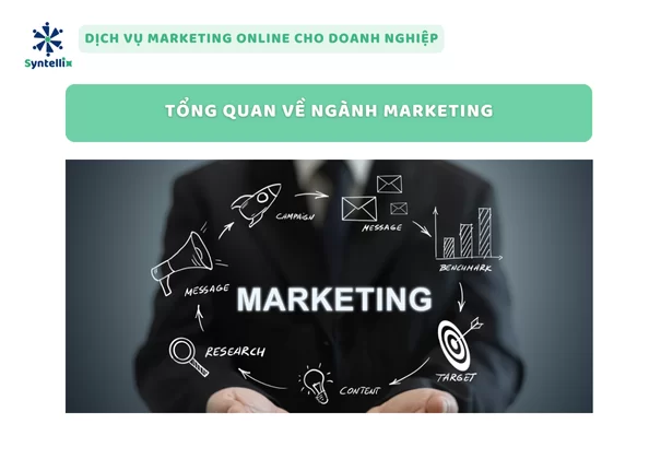 Tổng Quan Về Ngành Marketing