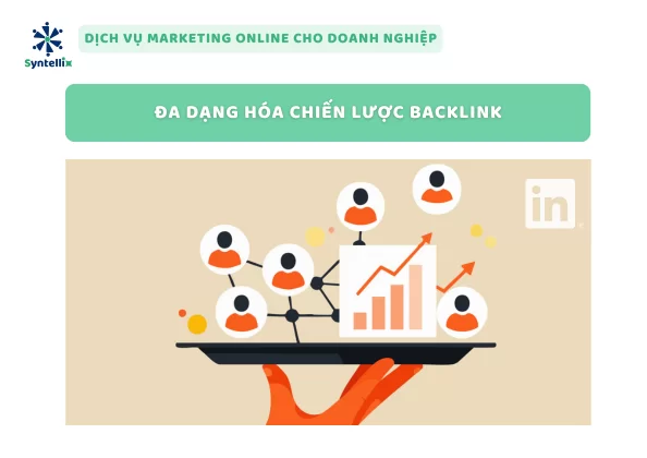 Đa Dạng Hóa Chiến Lược Backlink