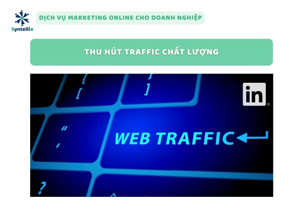 Thu Hút Traffic Chất Lượng