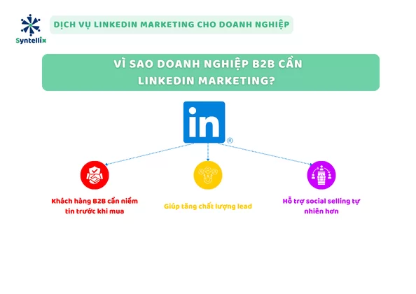 Vì sao doanh nghiệp B2B cần LinkedIn Marketing?